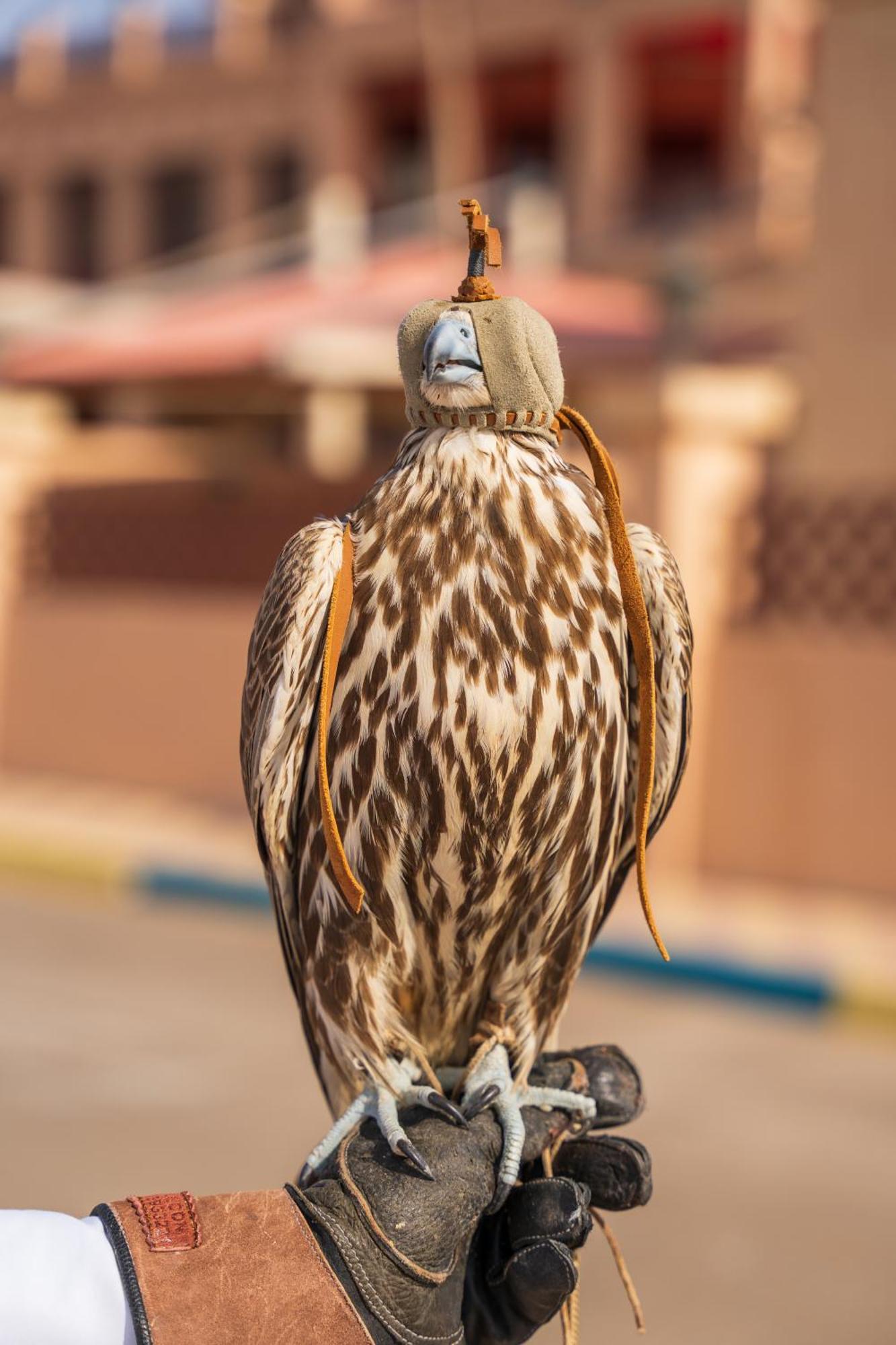 Al Bada Hotel And Resort Al Ain Exterior photo